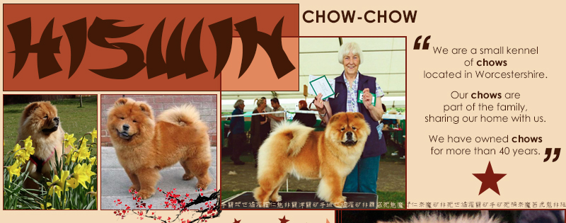 Hiswin Chows